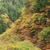 中津渓谷の紅葉