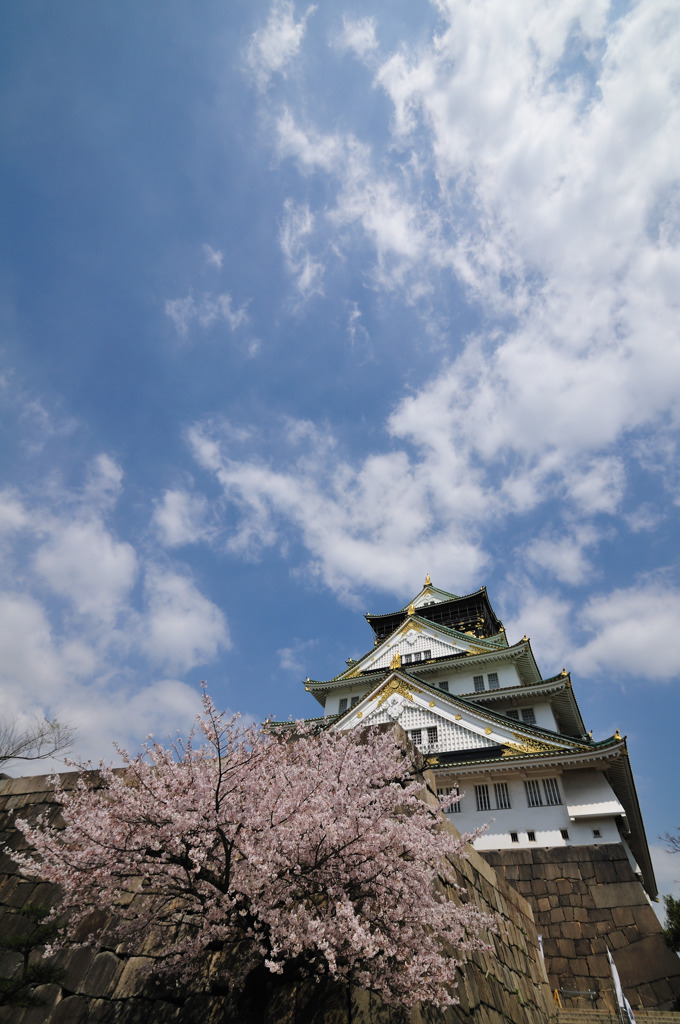 青空に聳える天守閣