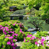 相楽園の庭園