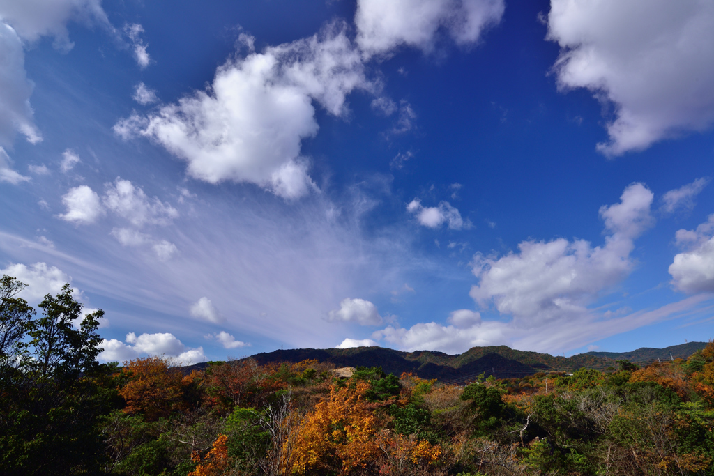 晩秋の透きとおる空