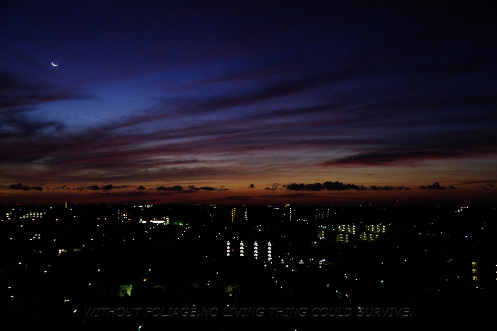 100907 空！リヴァイアサン