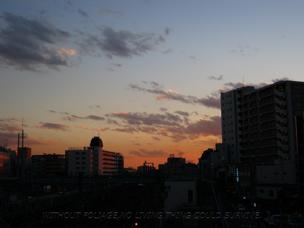 101110 空！