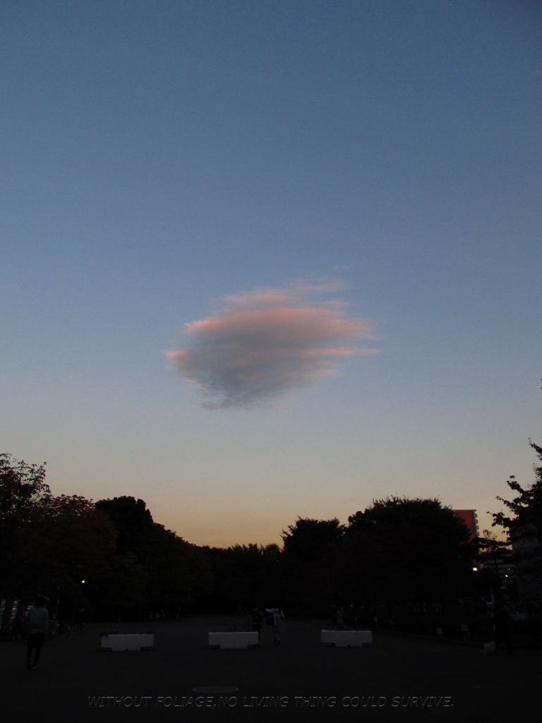 101105 雲！