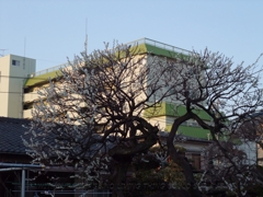 2010年02月13