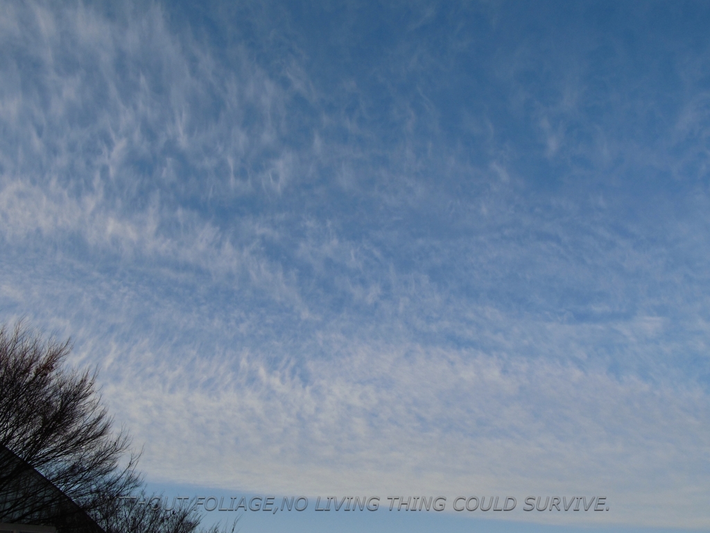 101217 雲！