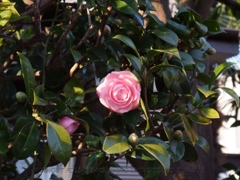 2010年02月11