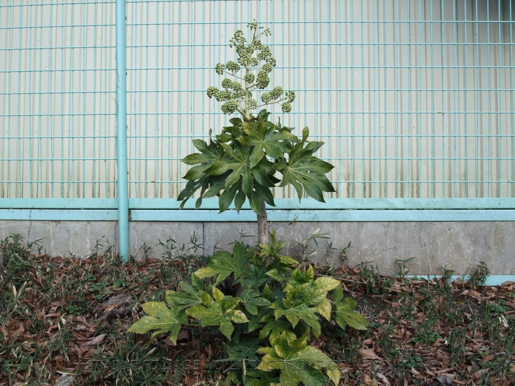 2010年02月06