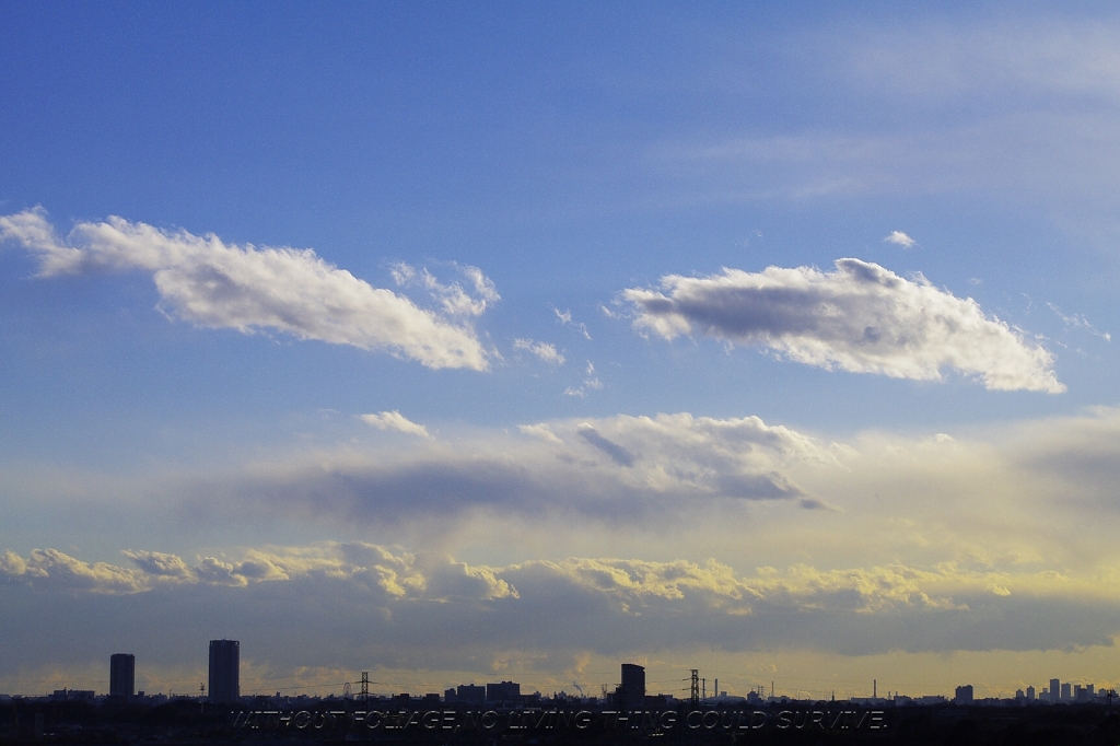 110116 空！