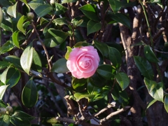 2010年02月10