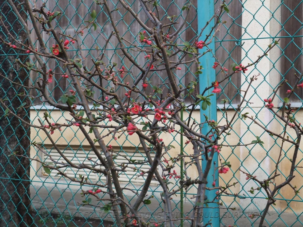 2010年02月08