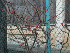 2010年02月08