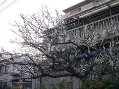 2010年02月15