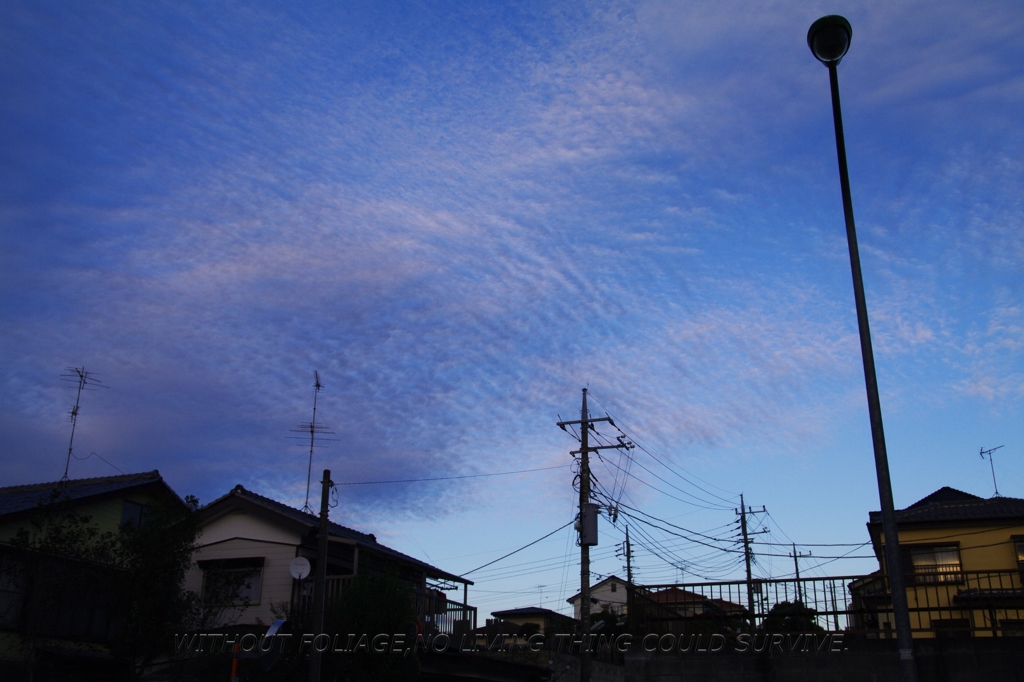 101027 空！