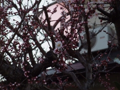 2010年02月14