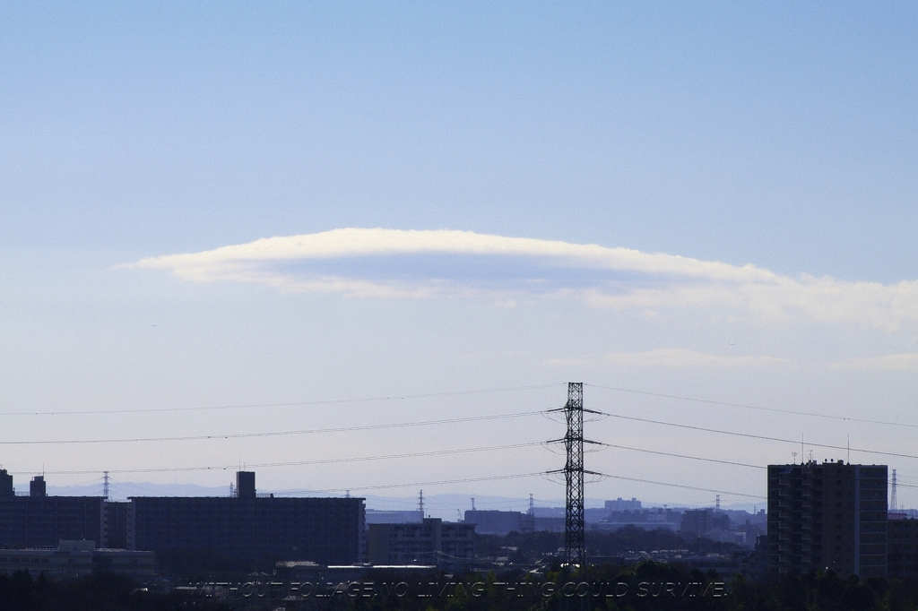110110 雲！