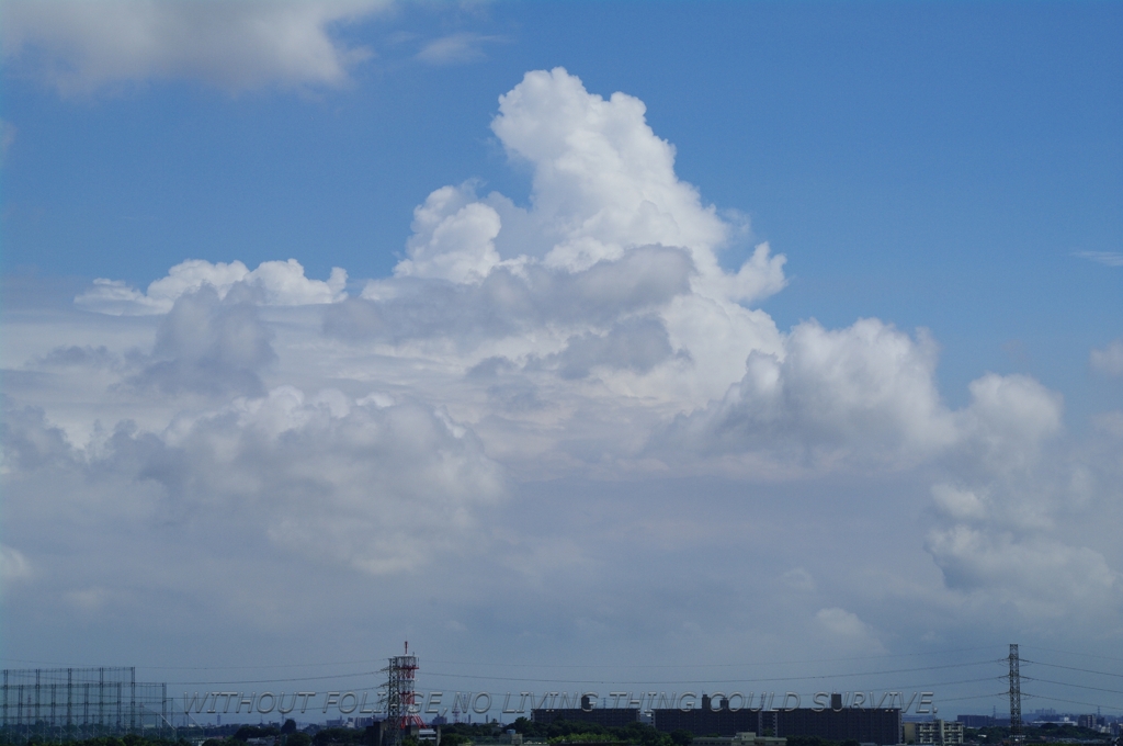 100810 雲！
