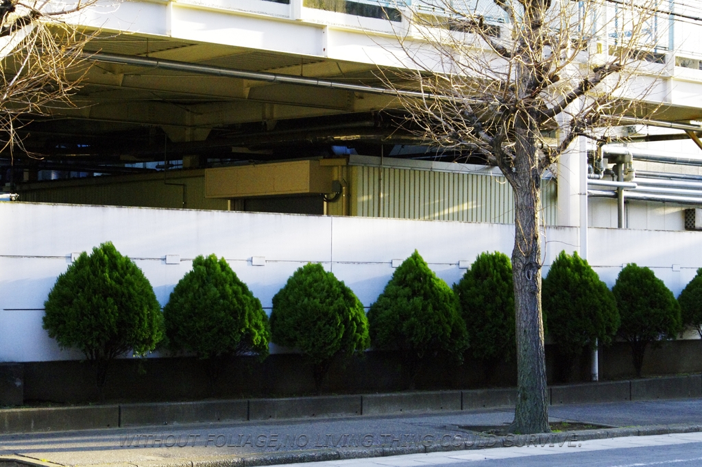 2010年02月01