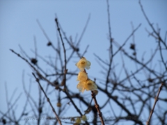 2010年02月12