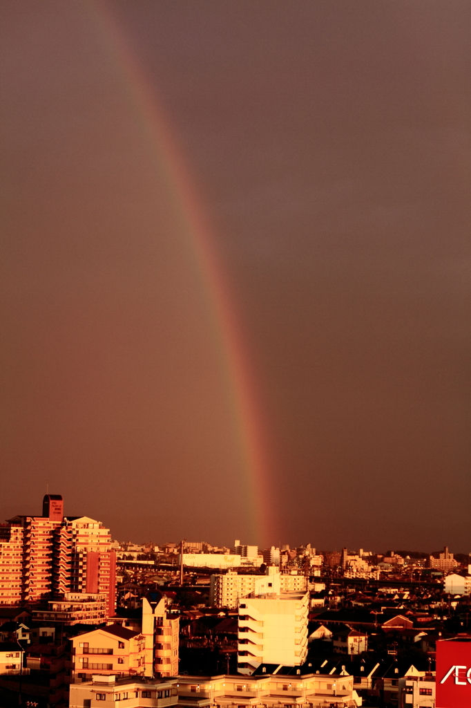 雨上がりの空に