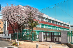 サクラサク小学校