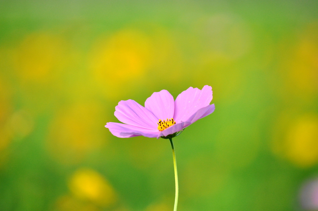 DSC_4973(1)