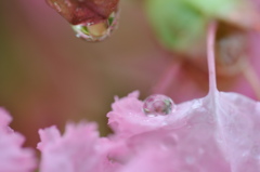 DSC_2090(1)