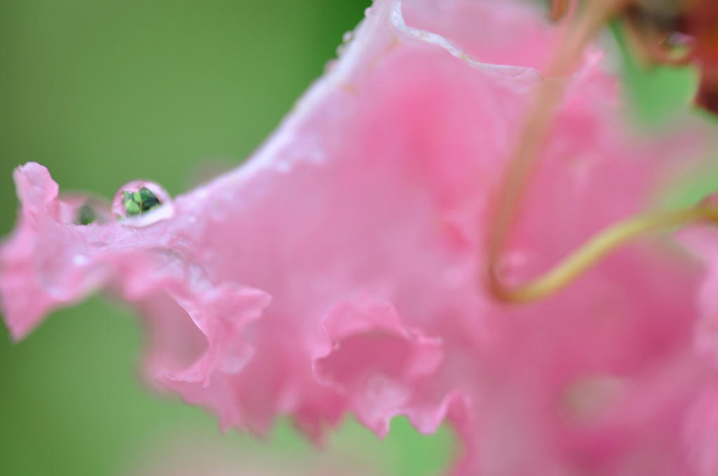 DSC_2078(1)