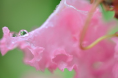 DSC_2078(1)
