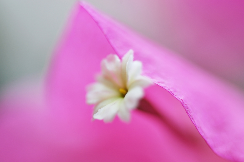 DSC_1895(1)