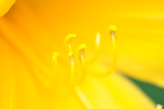 DSC_0861