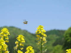 DSC04508