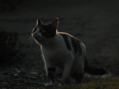 DSC01566