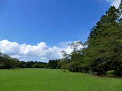 青空・白い雲・緑の草原