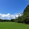 青空・白い雲・緑の草原