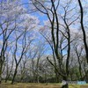 桜の森・・・今年もきっと