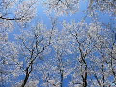 胸に～沁みる空の輝き～♬