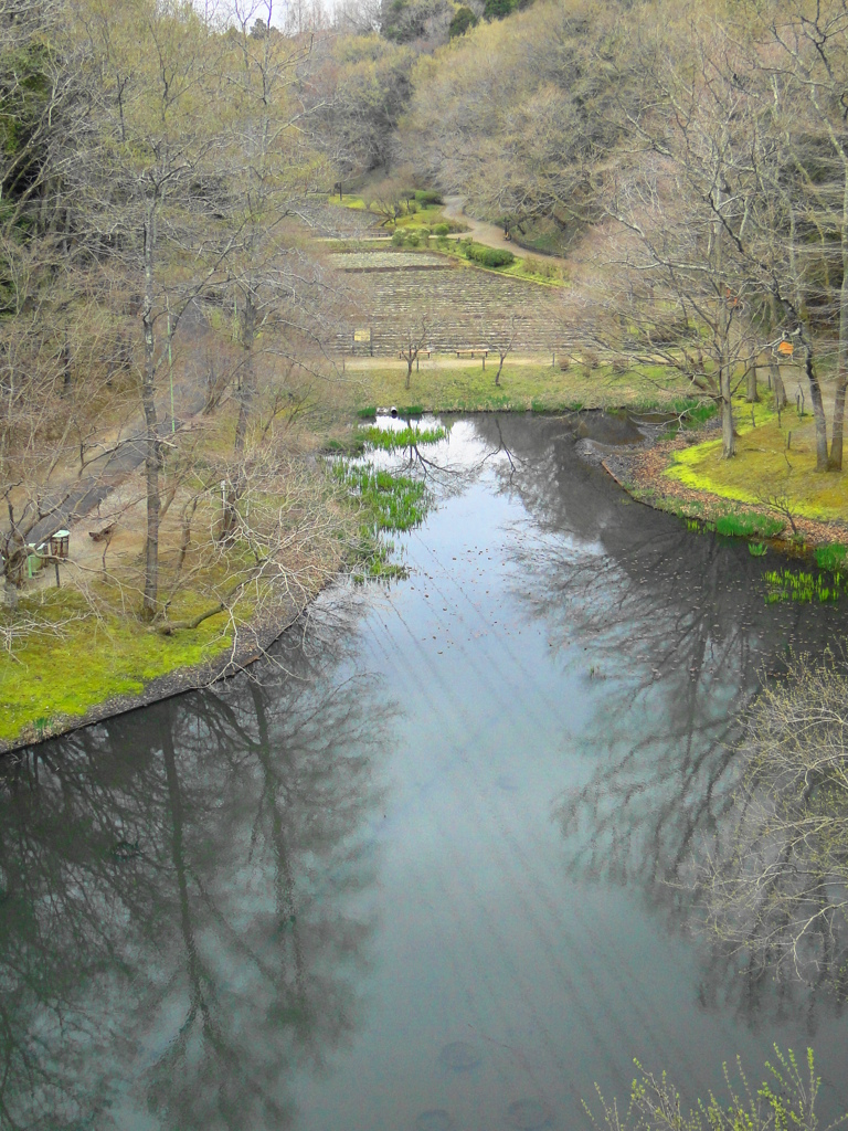もうすぐ華やかな彩りになりますね