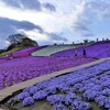 花のスゴロク散策路