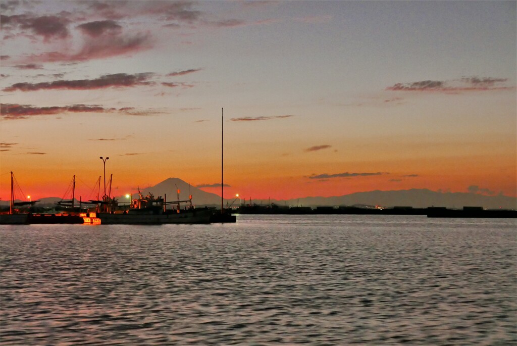 夕陽の港