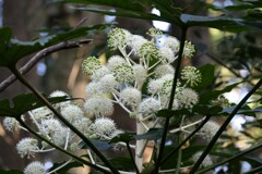 冬の散歩道にて