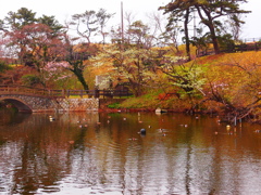 春爛漫…もうすぐですね（＾－＾）