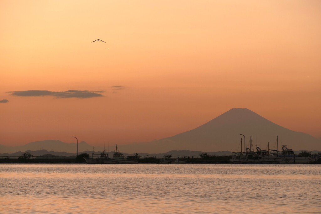 夕凪の湊富士