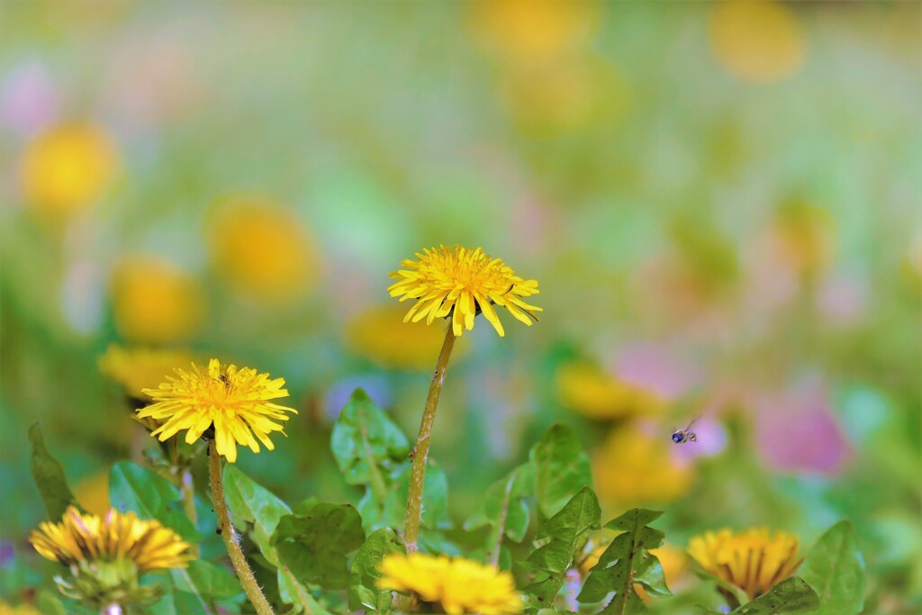 ずっと前から・・・・・