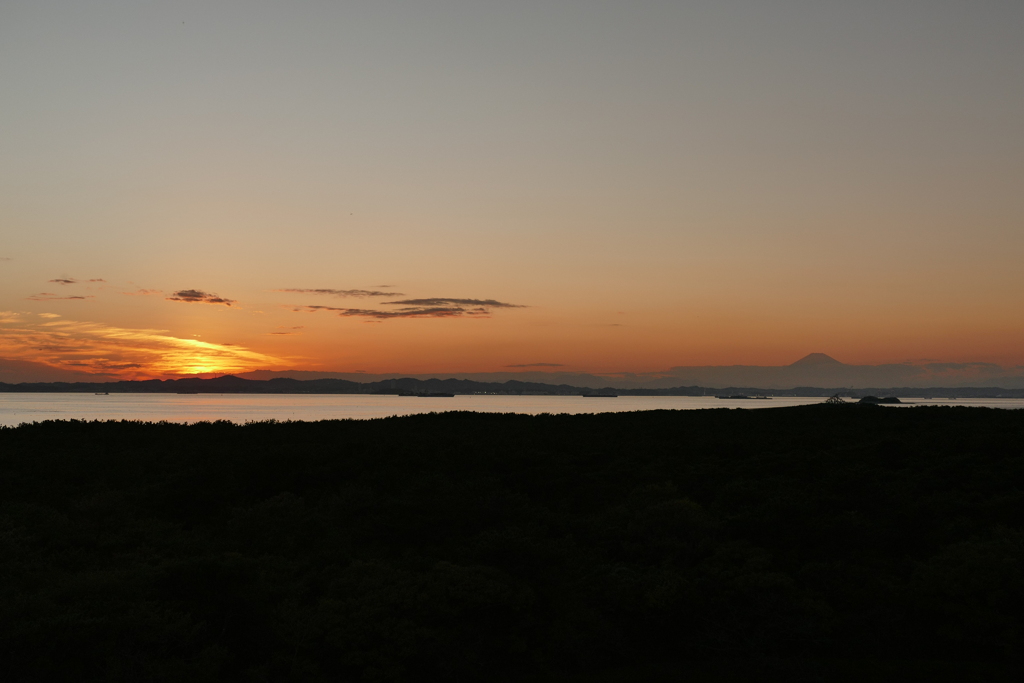 浦賀水道から東京湾へ