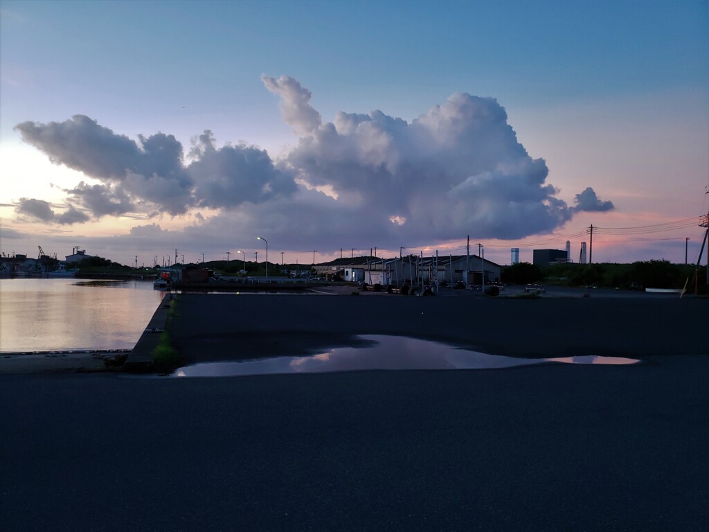 夕空を泳ぐ
