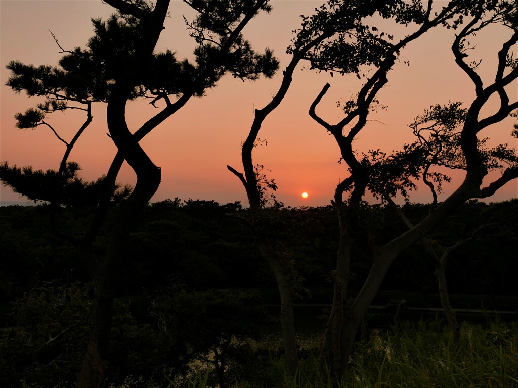 秋・岬の夕景