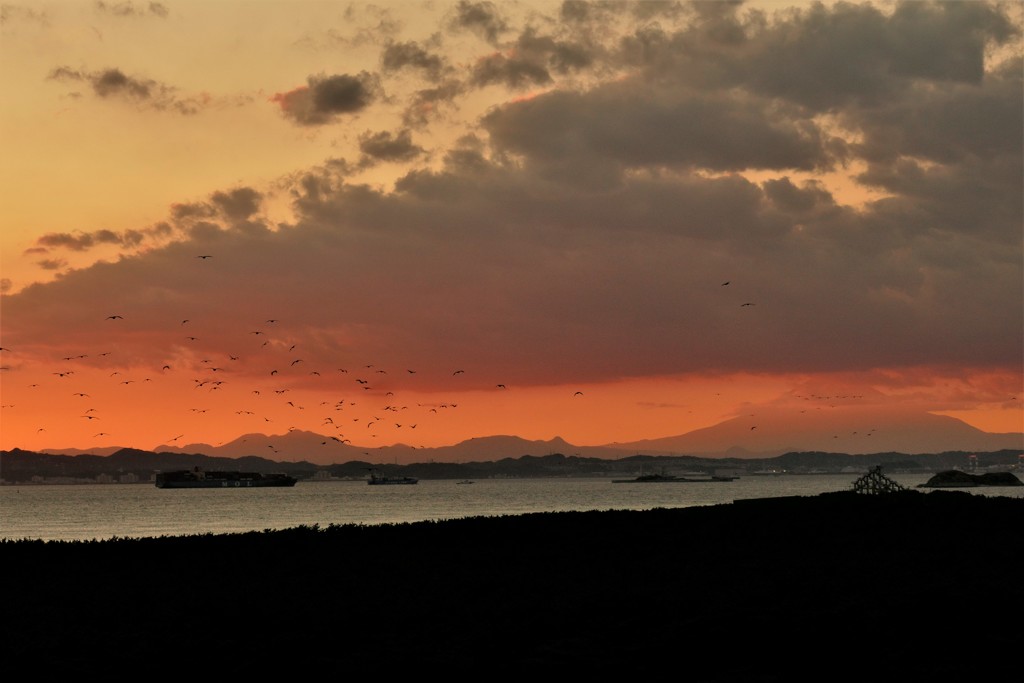 岬の夕暮れに起きていること