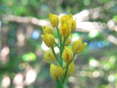 泉自然公園にて