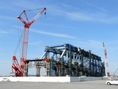 筋骨隆々へ‥‥若い頃のゲートブリッジ