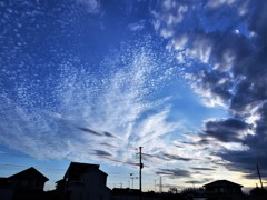 梅雨空の突然のパフォーマンス＼(^o^)／